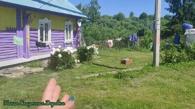 Почему пионы не цветут. Просто интересная мысль. смотреть онлайн