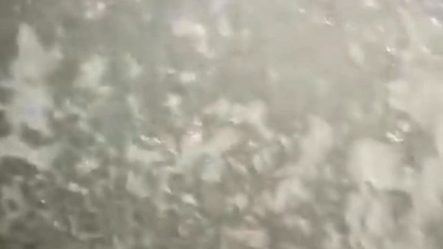 podkapaev. д. Дмитровка. Вонючая вода. Из-за гнилого щита смотреть онлайн