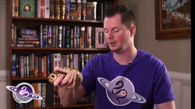 5 Ball Python Instagram Tips: Writing Captions смотреть онлайн