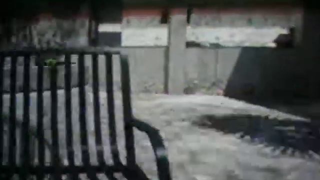 Win vs WiKi смотреть онлайн