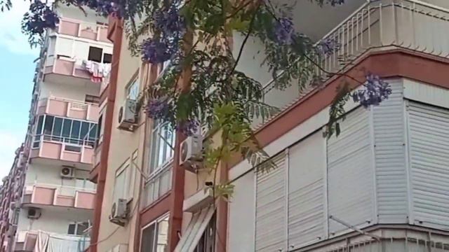 ЦВЕТЫ В ТУРЦИИ. АНТАЛИЯ ЛЕТОМ 2022. /тикток 2022. смотреть онлайн