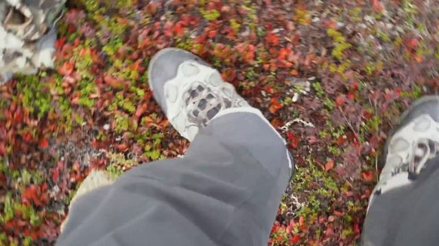 DIY Alaskan Caribou Hunt | THE ADVISORS: TUTTU Part 1 смотреть онлайн