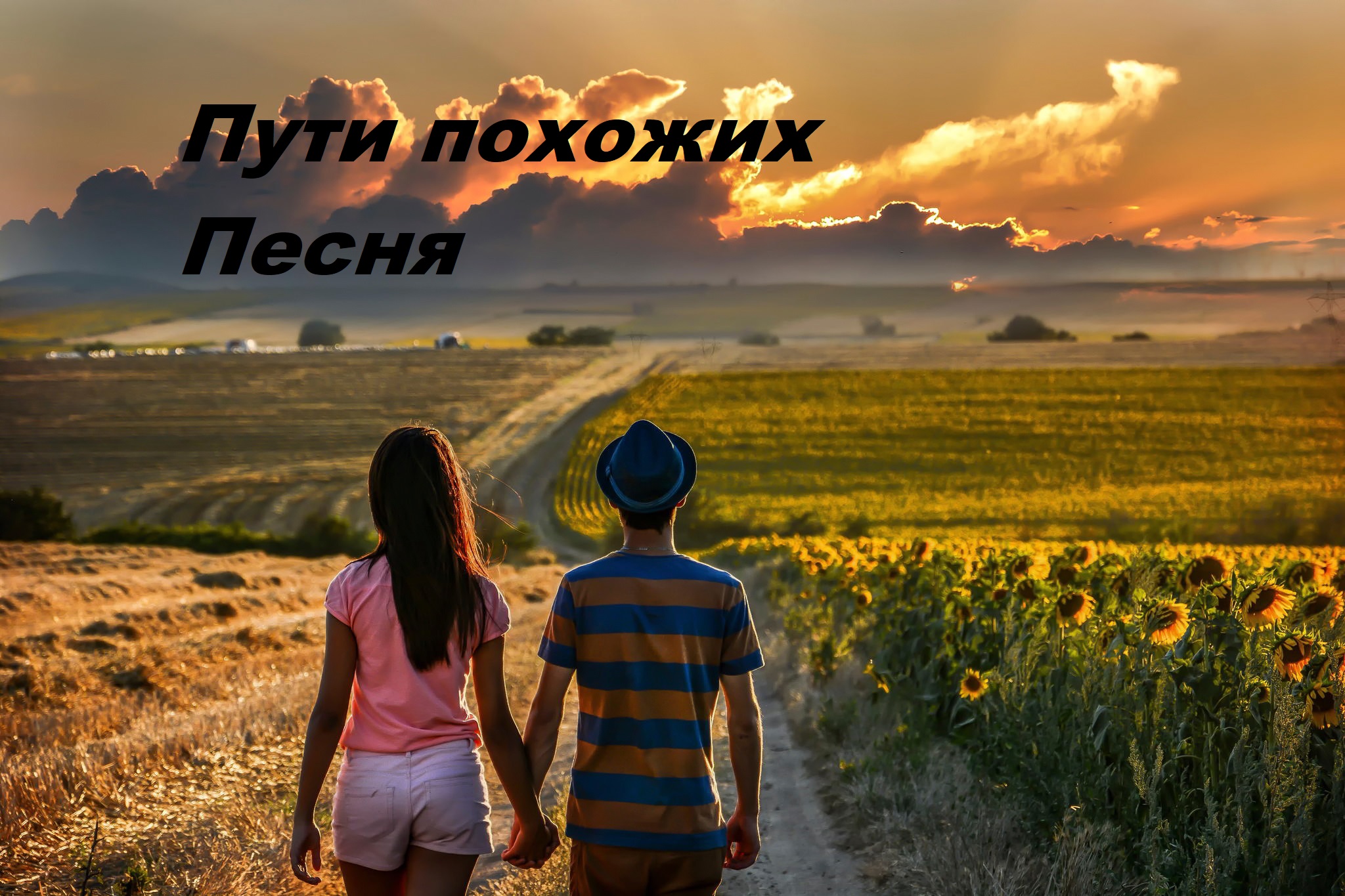 Пути похожих. смотреть онлайн