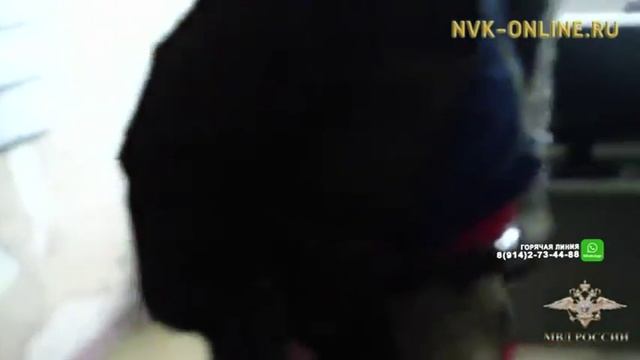 В Нерюнгри задержан мужчина с золотом стоимостью 20 млн рублей смотреть онлайн