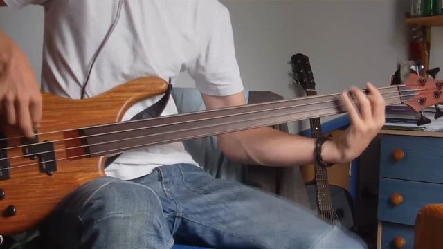Paul Simon - Diamonds on the Soles of her Shoes [Bass Cover] смотреть онлайн