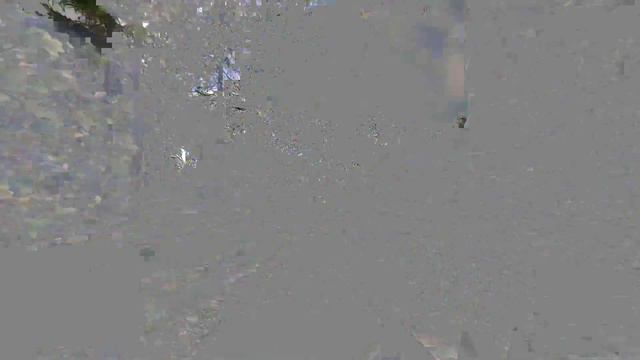 Выживание двух бэндитов у мирки RUST СТРИМ