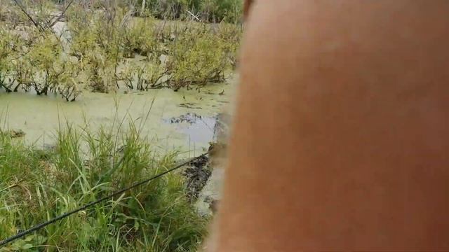 Первое тестирование вездехода на шинах ИП-184. смотреть онлайн