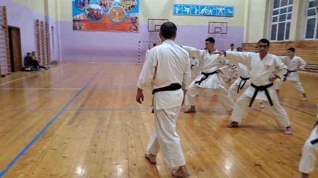 Shotokan kata Jitte смотреть онлайн