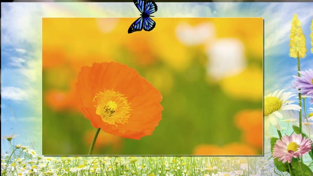 ТЫ МОЯ ДОЧЬ(17.01.2015) смотреть онлайн