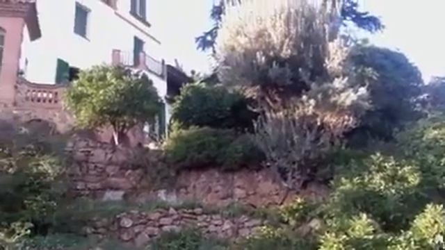 Прогулки в парке Гуэль смотреть онлайн