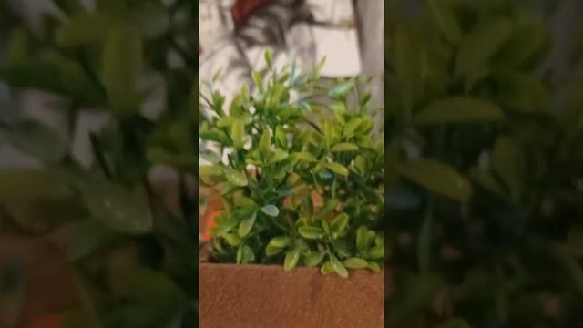 Говорят это ЛУЧШЕЕ КАФЕ в Караколе - Жашоо Керемет | PRO Каракол | Иссык-Куль смотреть онлайн