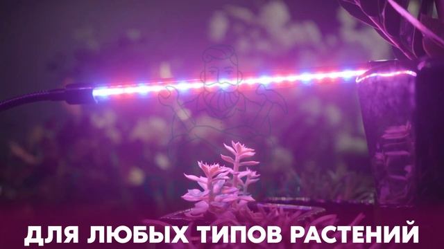 Фитолампа, тройная. Good Dad смотреть онлайн