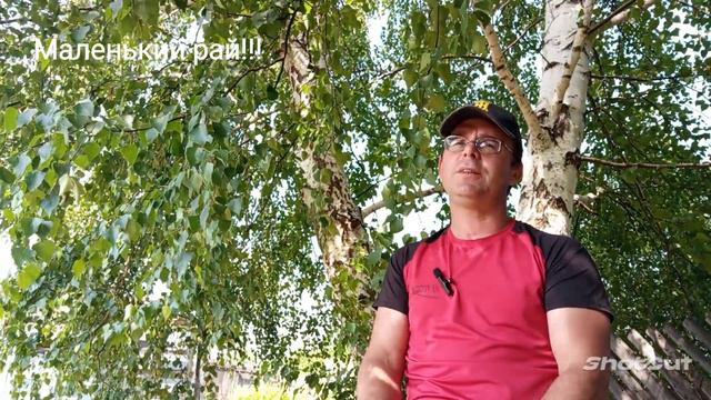 Есть ли у меня деревья на участке...? смотреть онлайн