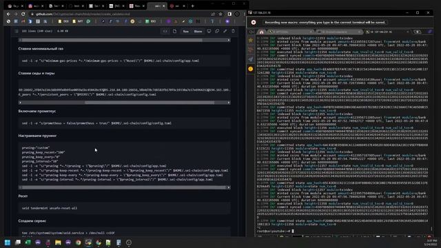 SEI. Стимулируемый тестнет. Установка ноды и валидатора смотреть онлайн