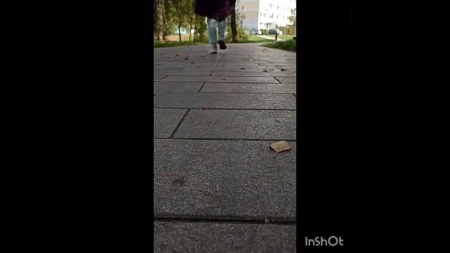 Алиса гуляет, собирает листья. Откуда синяк под глазом ??? смотреть онлайн