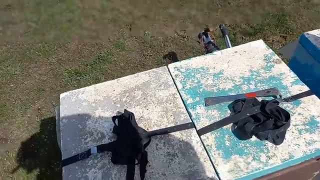 Состояние пчел на 3 апреля 2022 года смотреть онлайн