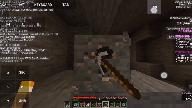 ВЫЖИВАНИЕ НА СЕРВЕРЕ**RileMine** смотреть онлайн