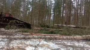 Трелевка на ТДТ 55