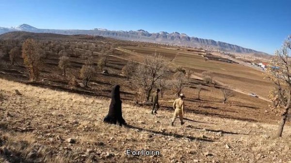 A window of hope for Sakineh: Soldiers' quest to find the fraudster