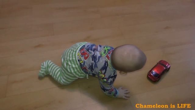 #117 Максимка 6 месяца 17 05 15\ползаем за машинкой. смотреть онлайн