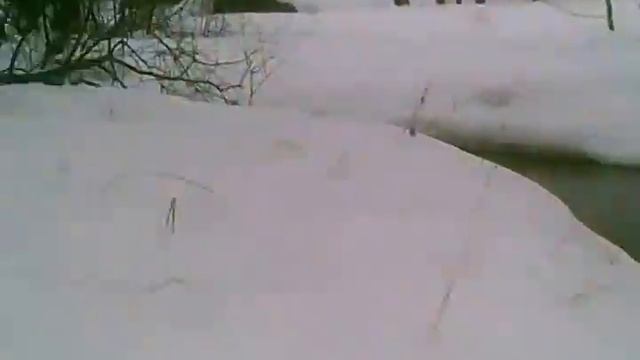 Раньняя Весна-лес 2 смотреть онлайн
