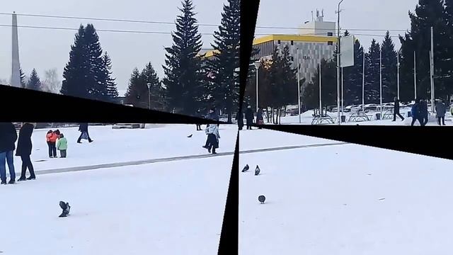 Зимняя прогулка не спеша смотреть онлайн