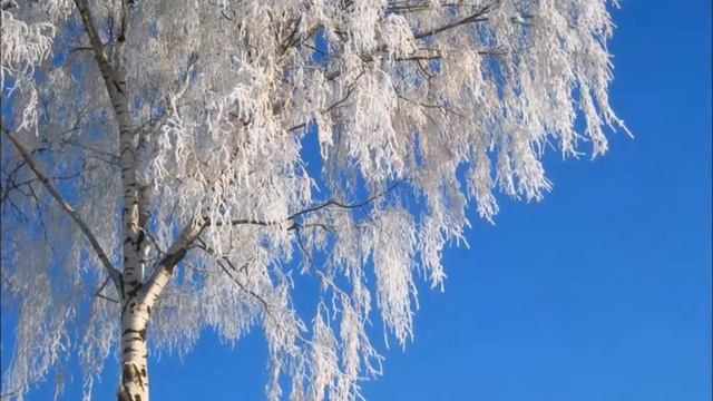 белая берёза с музыкой смотреть онлайн