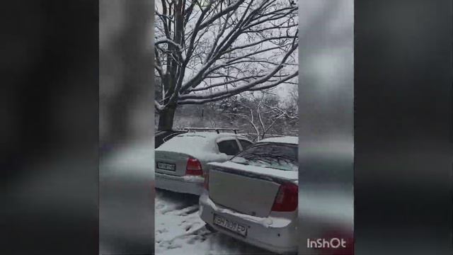 На белом покрывале января 😄❄️👏13.01.21 смотреть онлайн