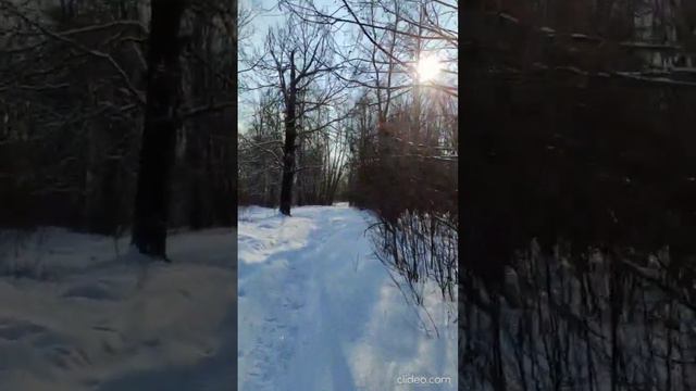 Гатчинский район. Орлино. Проход через Парк к Орлинскому озеру. Зима, Февраль 2023. смотреть онлайн