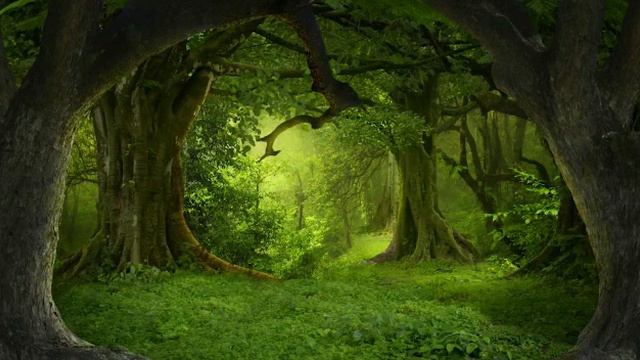 By Fatana Mansoor/غم مخور ای بنده غم خوارت منم/شاه نعمت الله ولی/Ghum Makhor смотреть онлайн