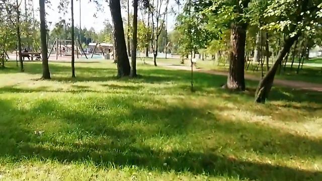 15 сентября 2020г Ави гуляет в парке смотреть онлайн