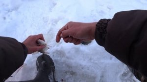 Зимняя Рыбалка в Феврале на Оке 2022!