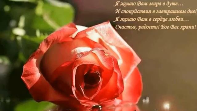 С Днем рождения Вероника смотреть онлайн