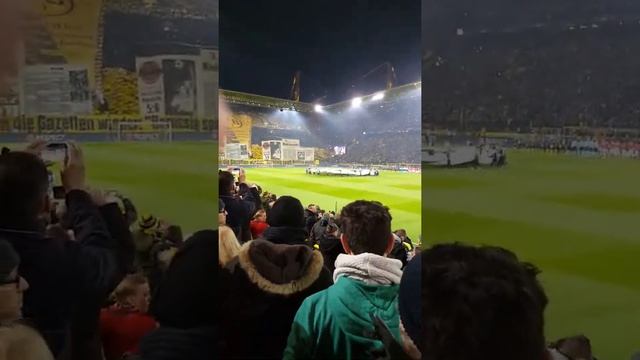 Borussia Dortmund-Benfica Lissabon Cl Choreographie смотреть онлайн
