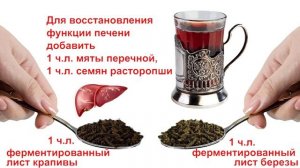 Уникальный чай из крапивы и листа березы  Рецепты и применение