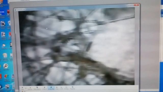 Эксперимент темные волокна и дыхание человека смотреть онлайн