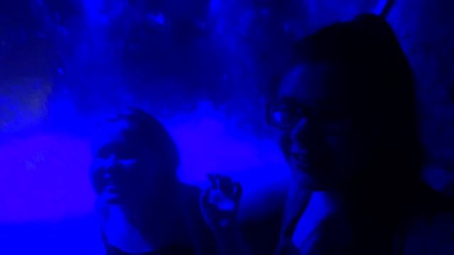 VLOG: Петербургский океанариум / англичане, мурены, пираньи, акулы и всякие рыбехи :) смотреть онлайн