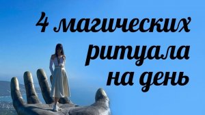 4 программы на день. Транслятор