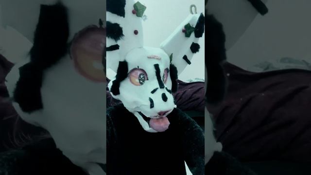 Мой фурсьют полностью готов#dragon #funny #животные #квадробика #cat #спорт #сервал #фурритоп смотреть онлайн