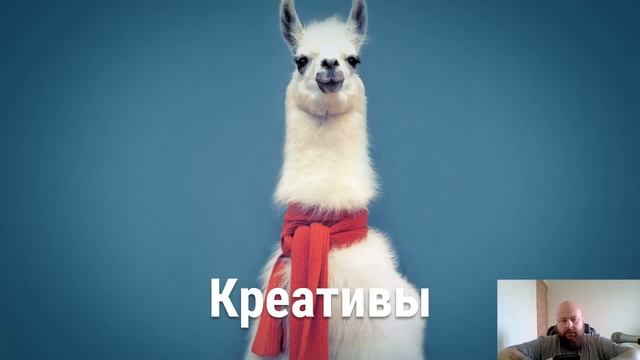 eLama: Типичные ошибки при запуске рекламы в Instagram от 17.09.2019 смотреть онлайн