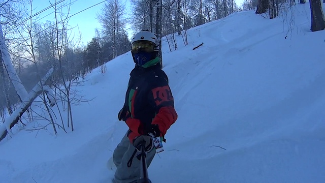 Завьялиха (19.12.2015)