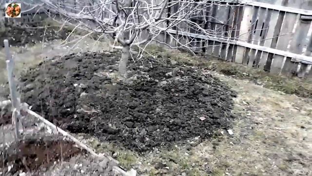 Итог правильной обработки приствольных кругов. смотреть онлайн