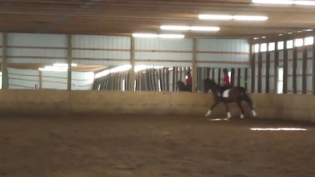 Susan Sunday Ride смотреть онлайн