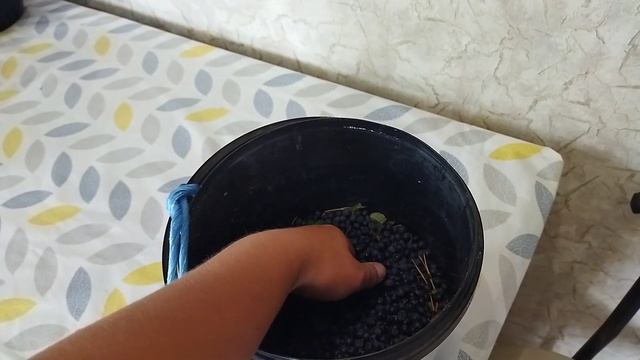 Учусь печь торты. И вот,⬆️ что пока получается. смотреть онлайн