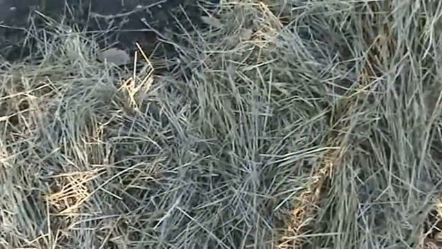 Укрытие клубники на зиму смотреть онлайн