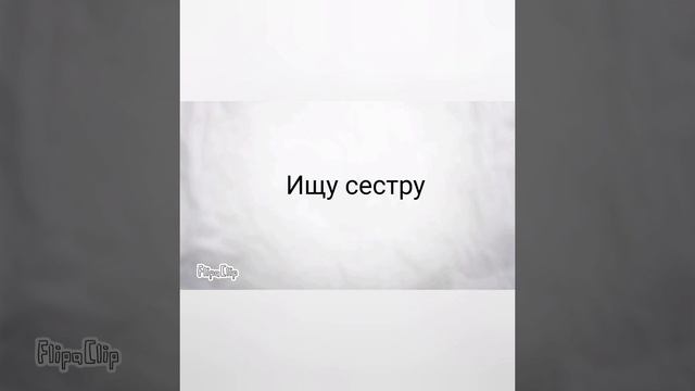 Начинающий блогер.