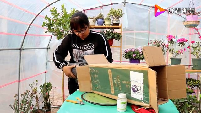 最会爬墙的植物，花墙、花窗、花海、花门最适合！还不怕冷 смотреть онлайн