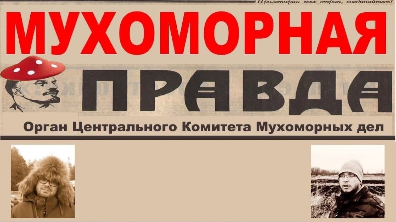 Мухоморная Правда № 7 смотреть онлайн