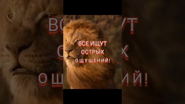 цитата со смыслом🙏