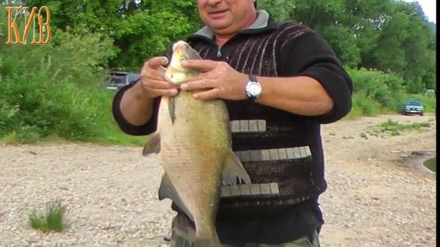 Как мы ловили рыбу на реке Ока. Московская область. смотреть онлайн